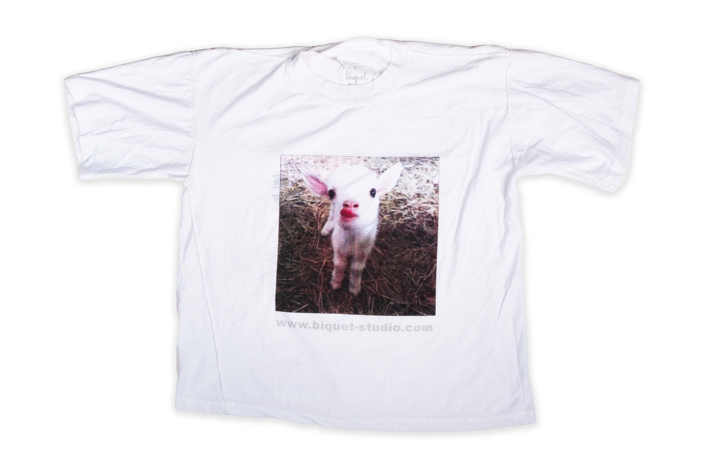 Biquet Photoprint 007