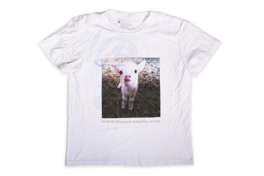Biquet Photoprint 002