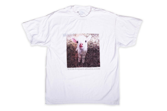 Biquet Photoprint 003